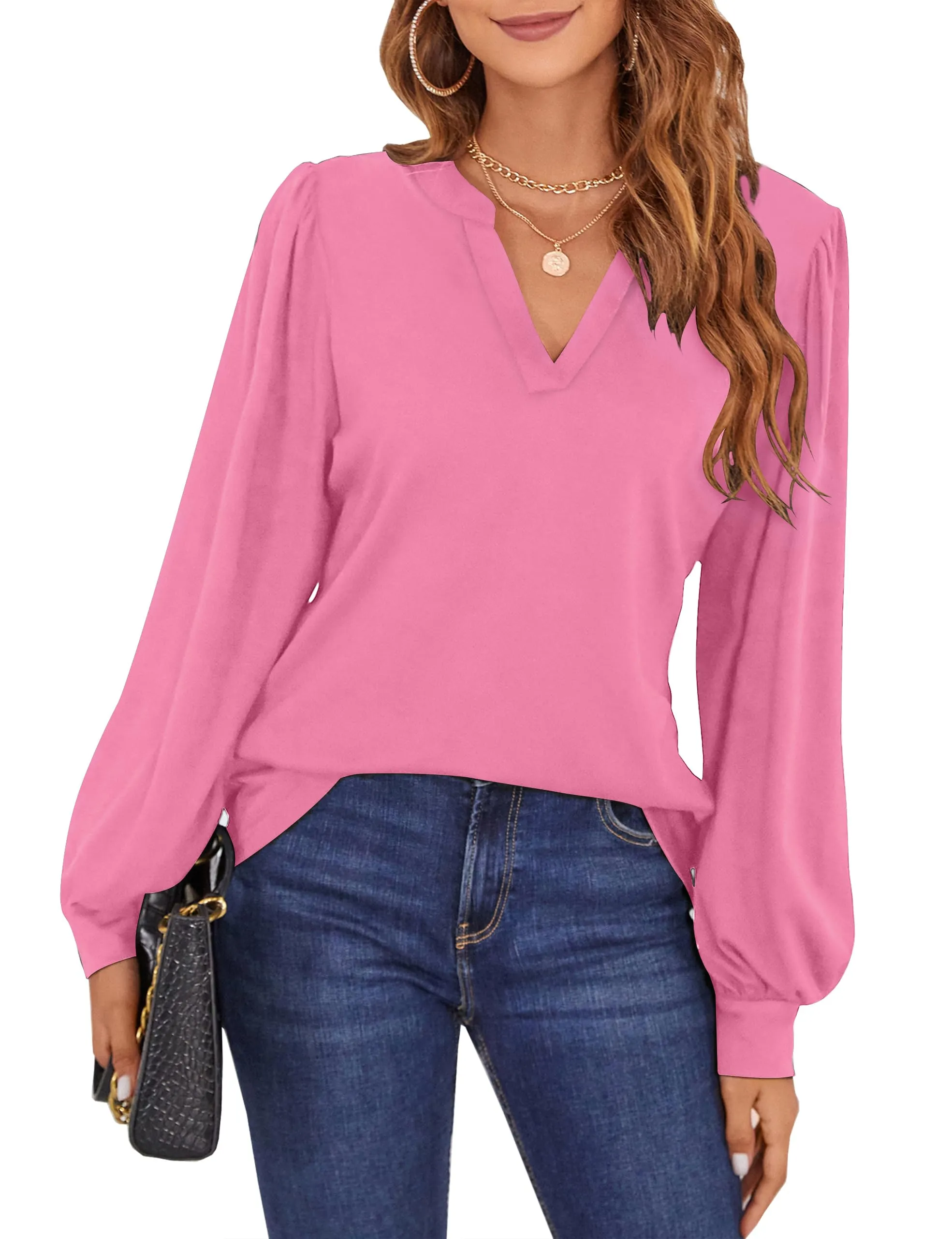 BMJL Womens Work Blouse Dressy Business Casual Tops Long Lantern Sleeve V Neck Office Fall Shirt