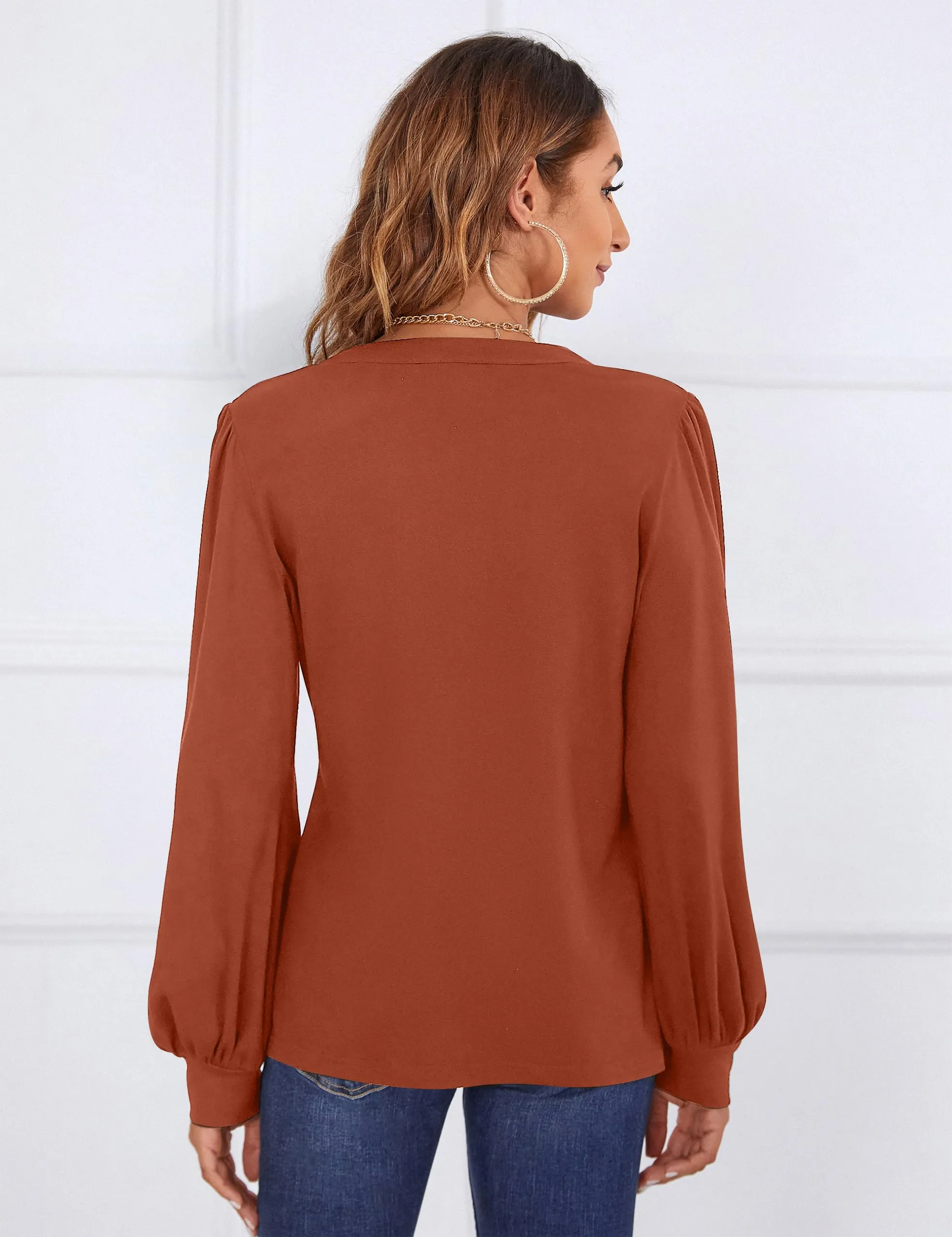BMJL Womens Work Blouse Dressy Business Casual Tops Long Lantern Sleeve V Neck Office Fall Shirt