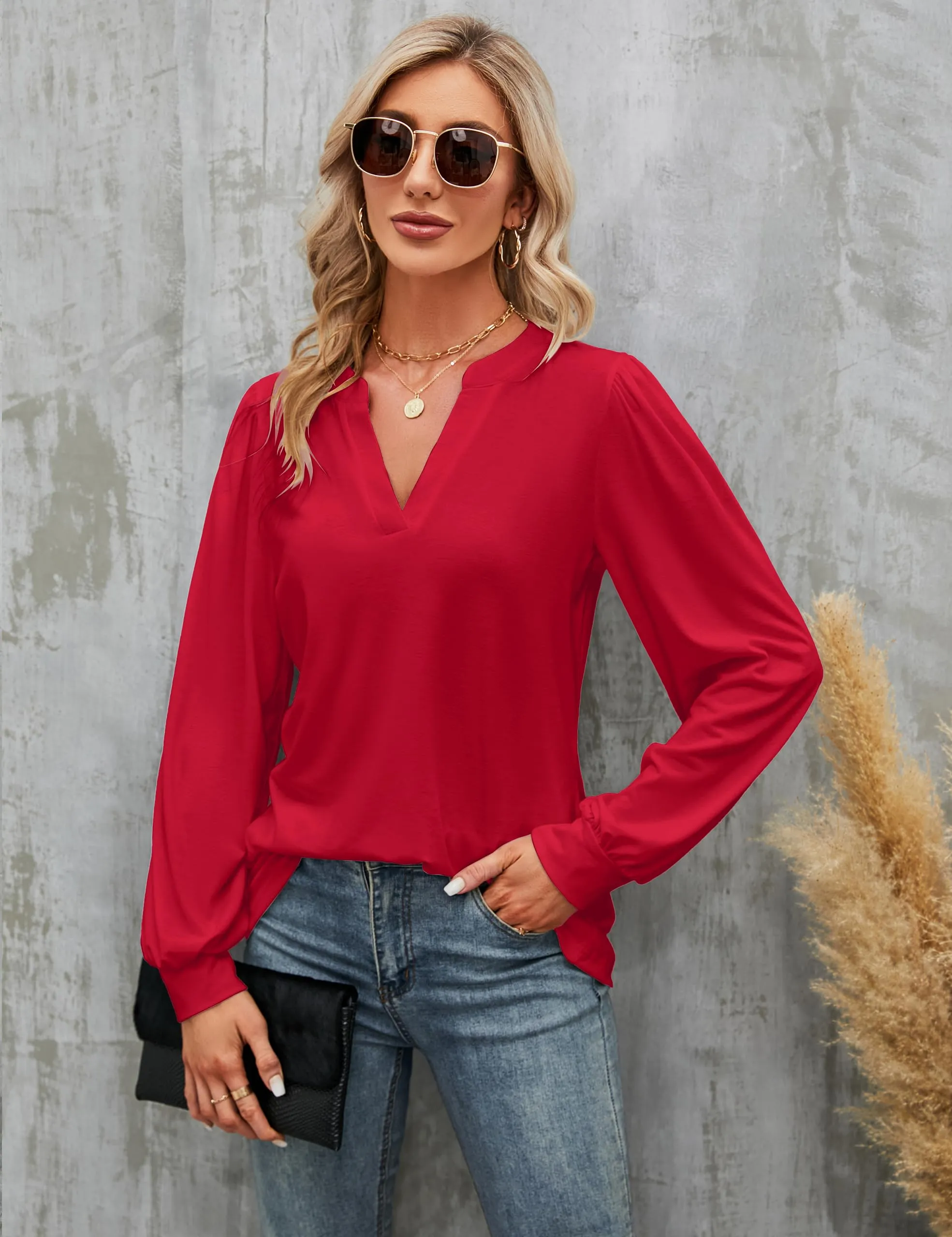 BMJL Womens Work Blouse Dressy Business Casual Tops Long Lantern Sleeve V Neck Office Fall Shirt