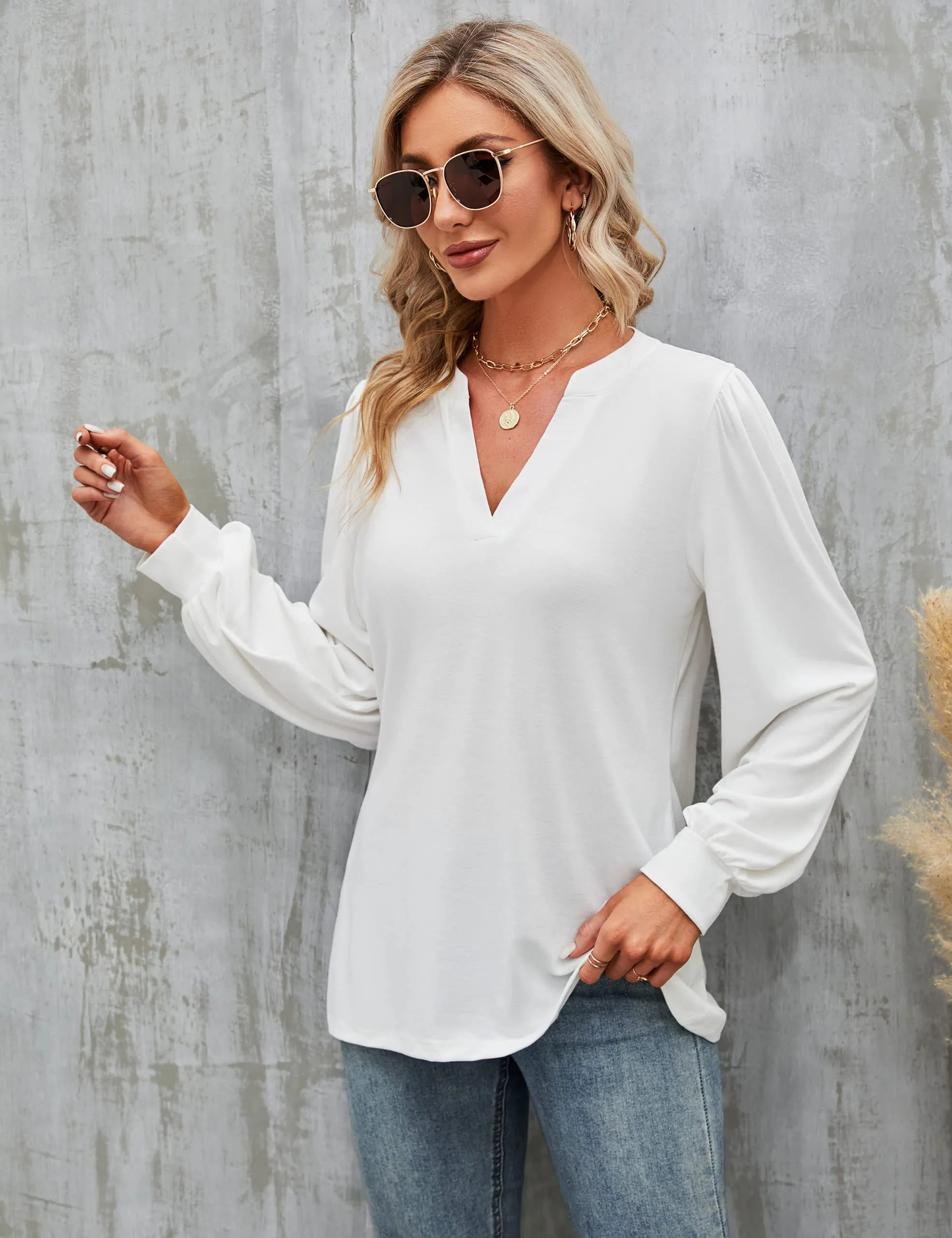 BMJL Womens Work Blouse Dressy Business Casual Tops Long Lantern Sleeve V Neck Office Fall Shirt