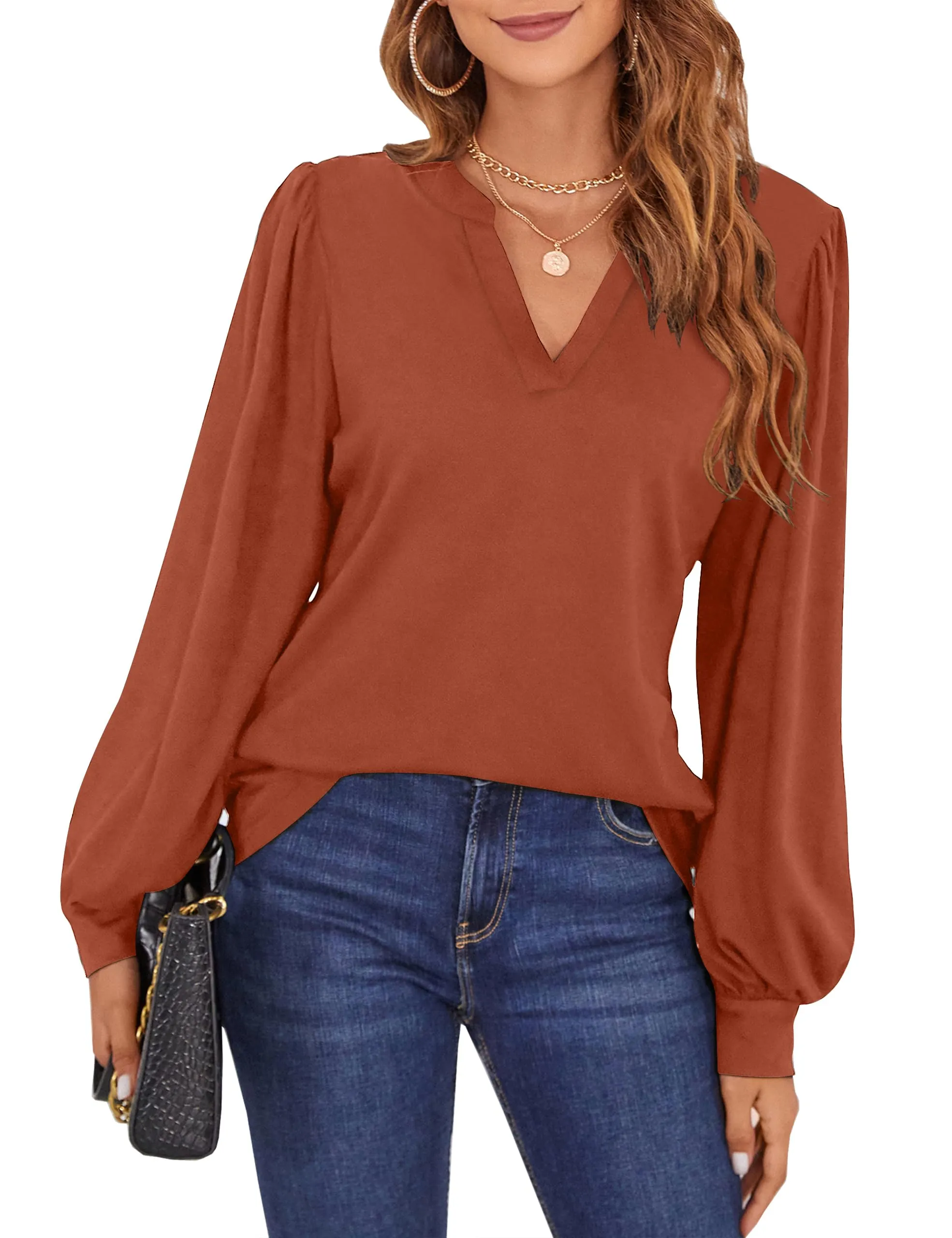 BMJL Womens Work Blouse Dressy Business Casual Tops Long Lantern Sleeve V Neck Office Fall Shirt