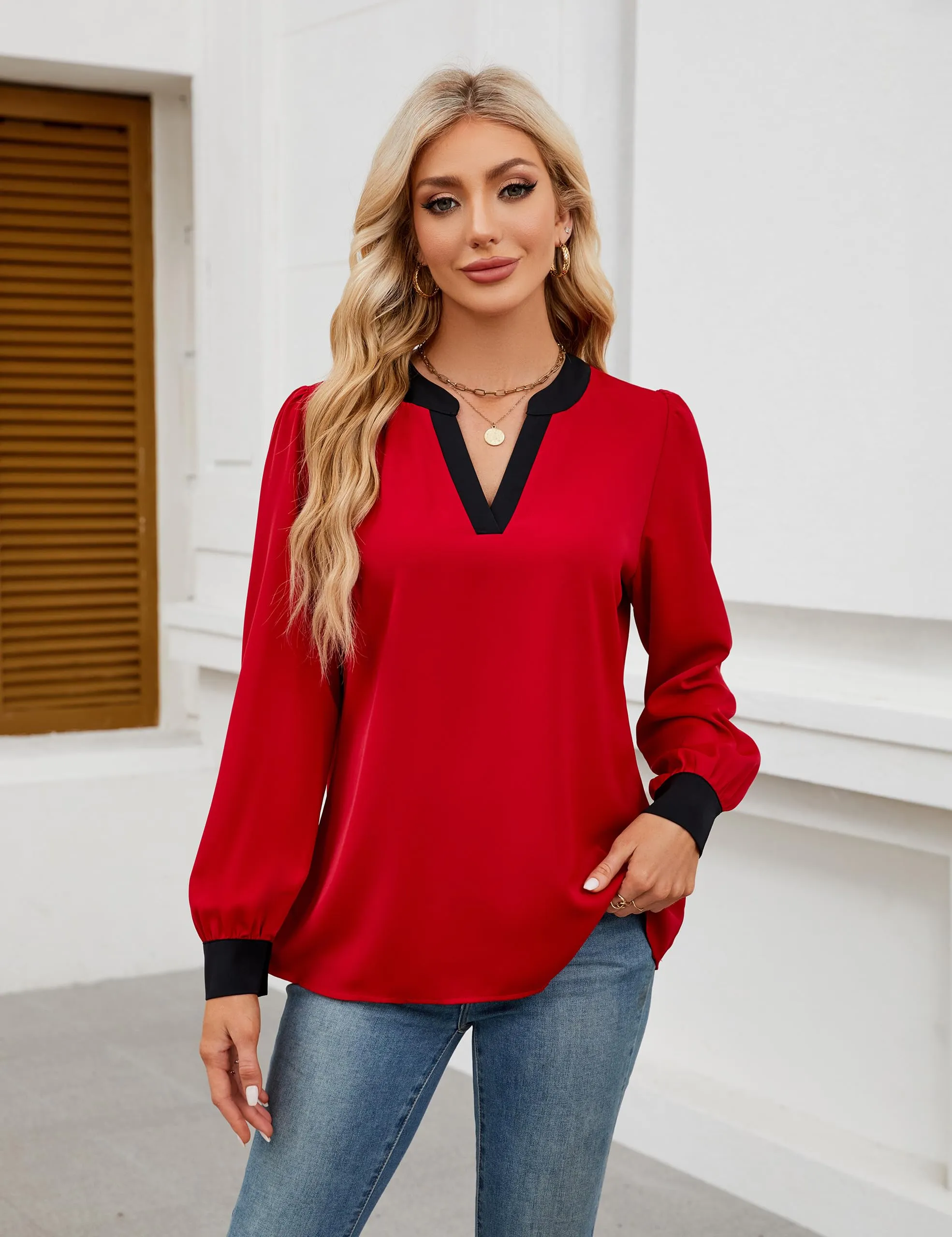 BMJL Womens Work Blouse Dressy Business Casual Tops Long Lantern Sleeve V Neck Office Fall Shirt