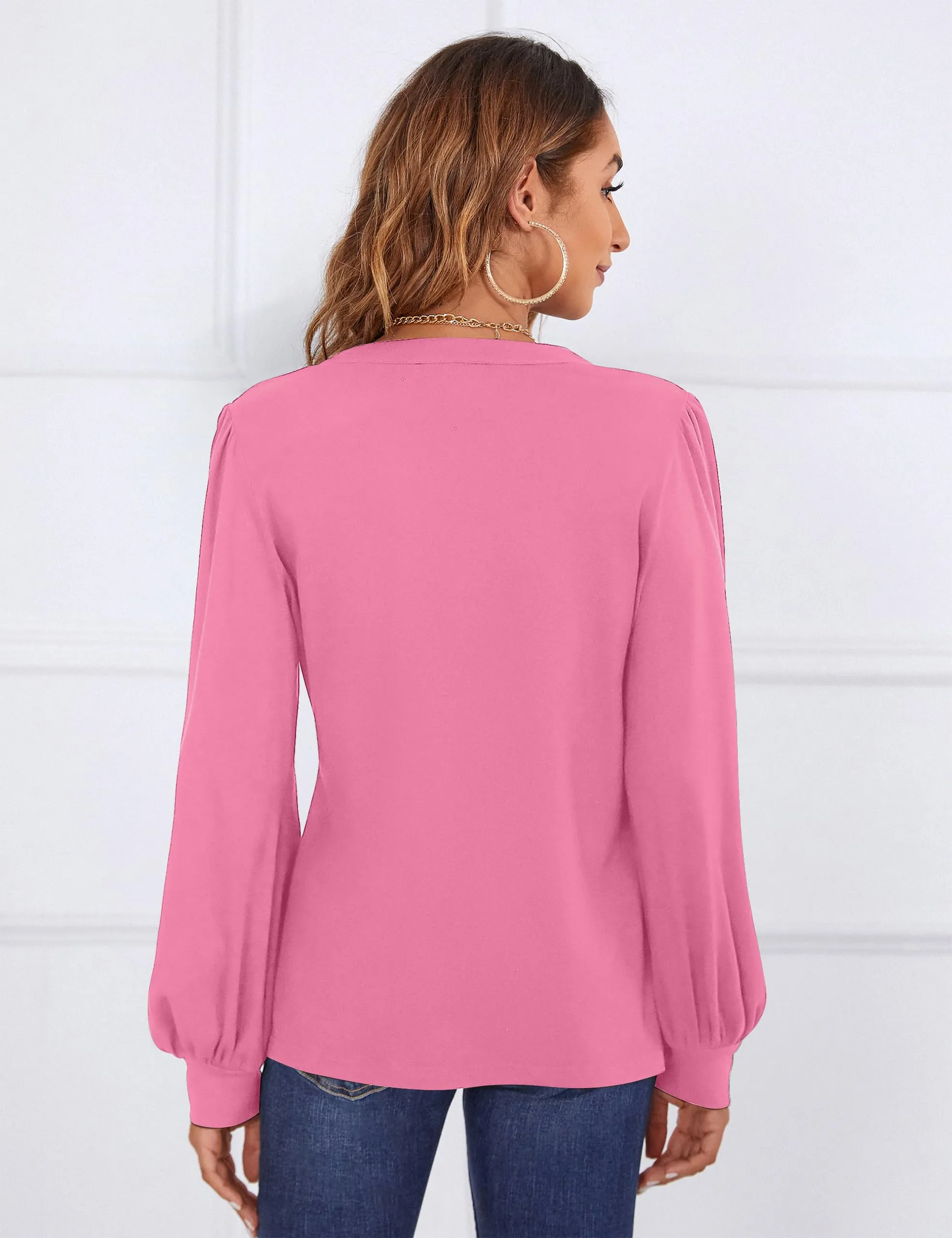 BMJL Womens Work Blouse Dressy Business Casual Tops Long Lantern Sleeve V Neck Office Fall Shirt
