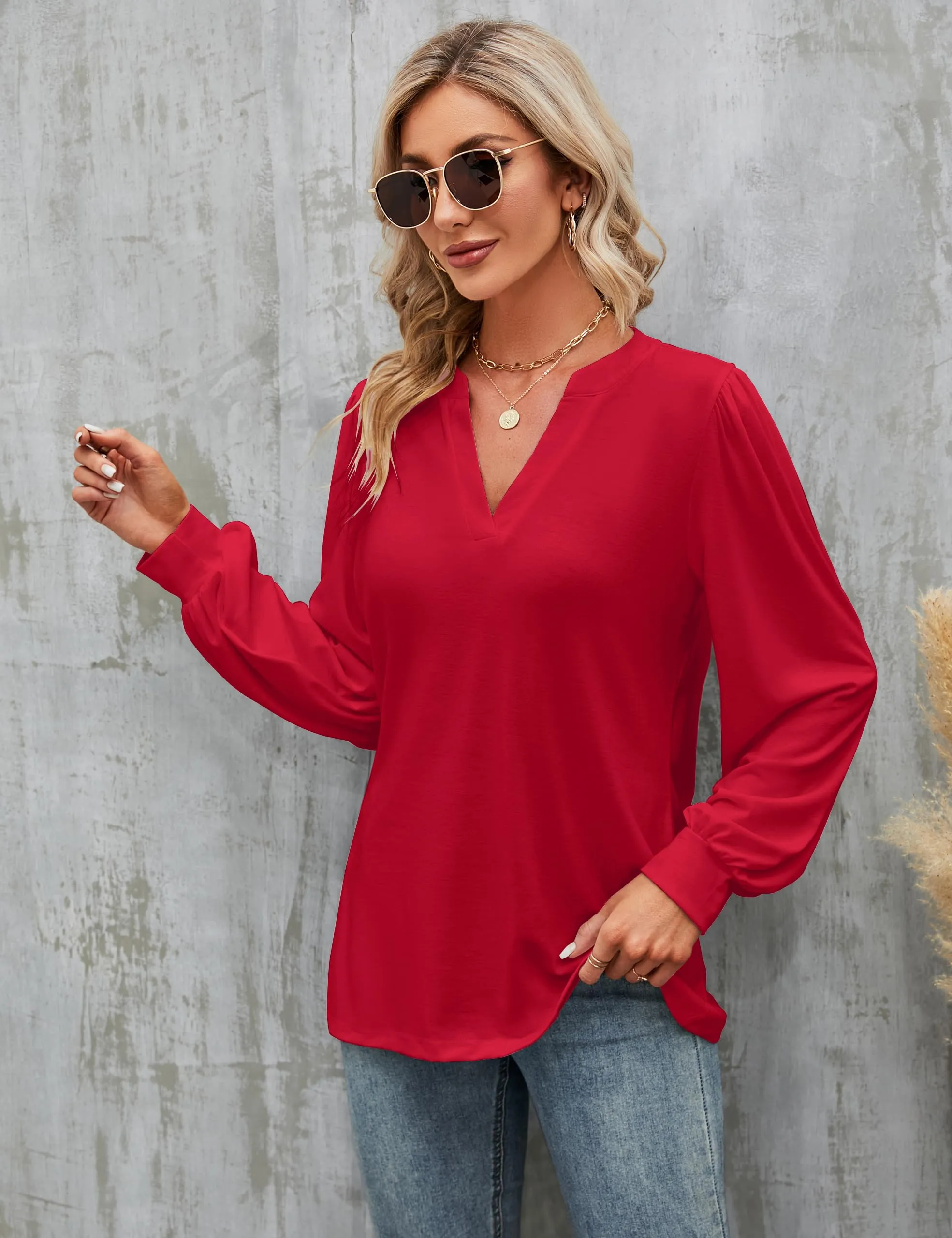 BMJL Womens Work Blouse Dressy Business Casual Tops Long Lantern Sleeve V Neck Office Fall Shirt