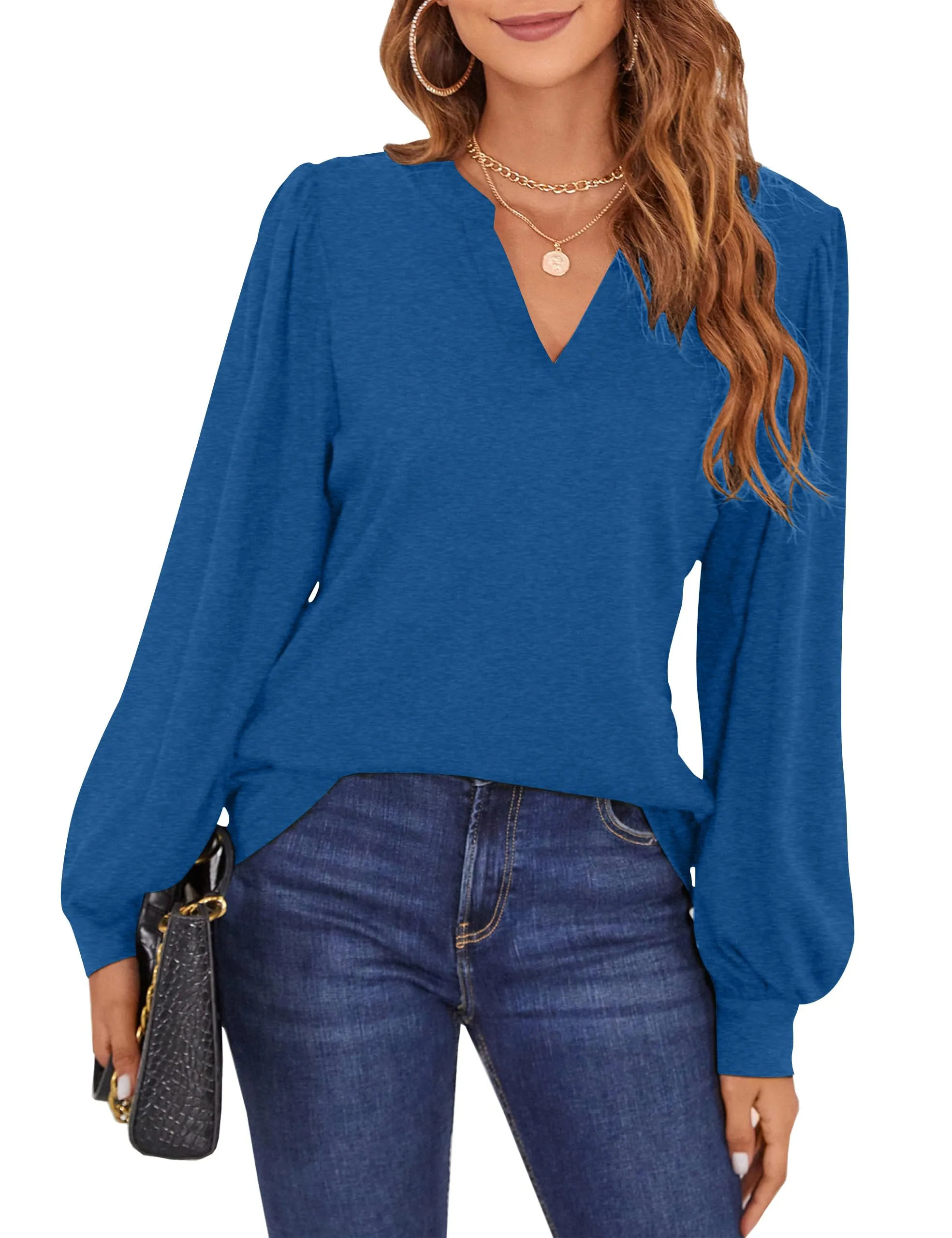 BMJL Womens Work Blouse Dressy Business Casual Tops Long Lantern Sleeve V Neck Office Fall Shirt