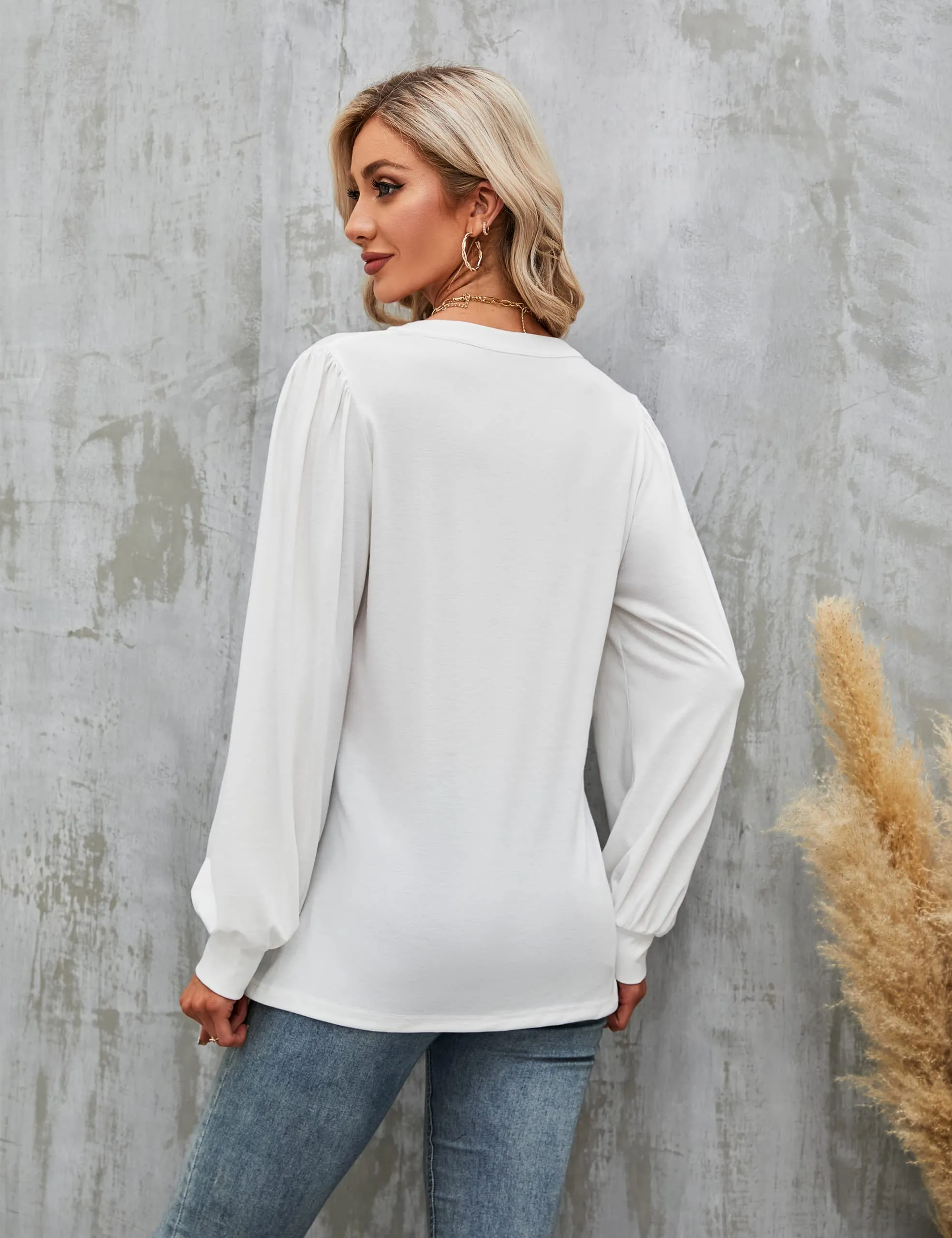 BMJL Womens Work Blouse Dressy Business Casual Tops Long Lantern Sleeve V Neck Office Fall Shirt