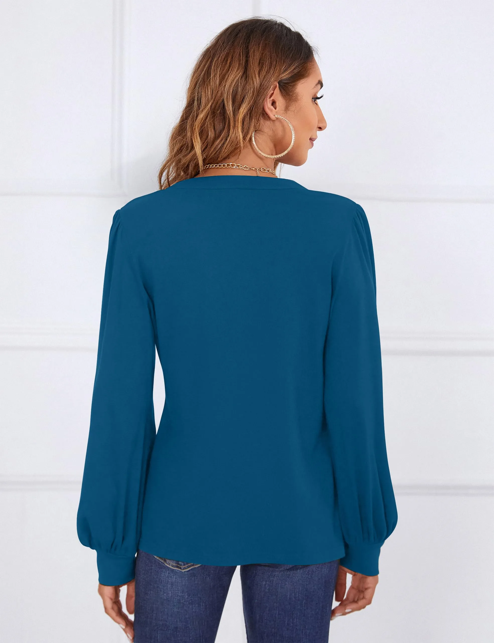 BMJL Womens Work Blouse Dressy Business Casual Tops Long Lantern Sleeve V Neck Office Fall Shirt