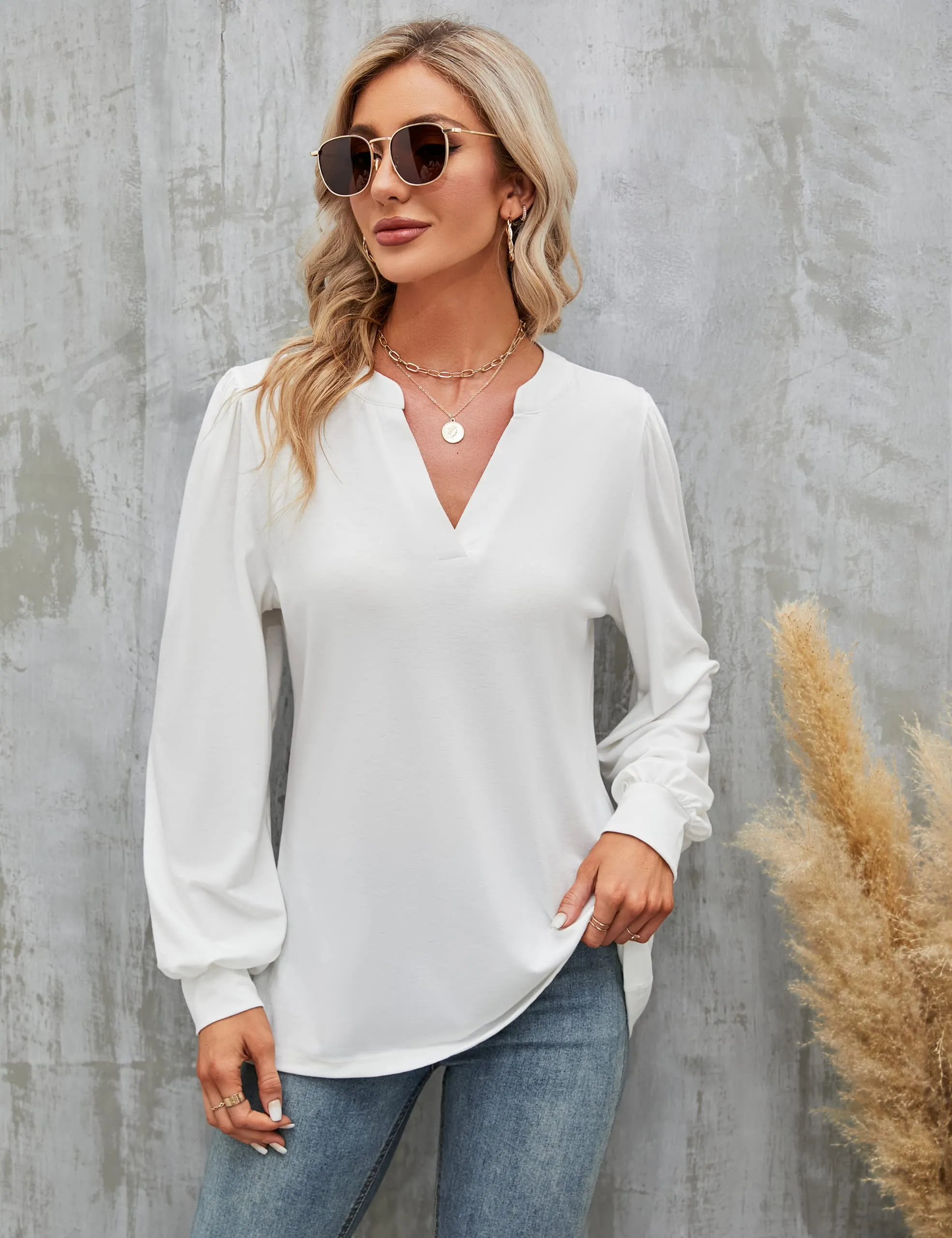 BMJL Womens Work Blouse Dressy Business Casual Tops Long Lantern Sleeve V Neck Office Fall Shirt