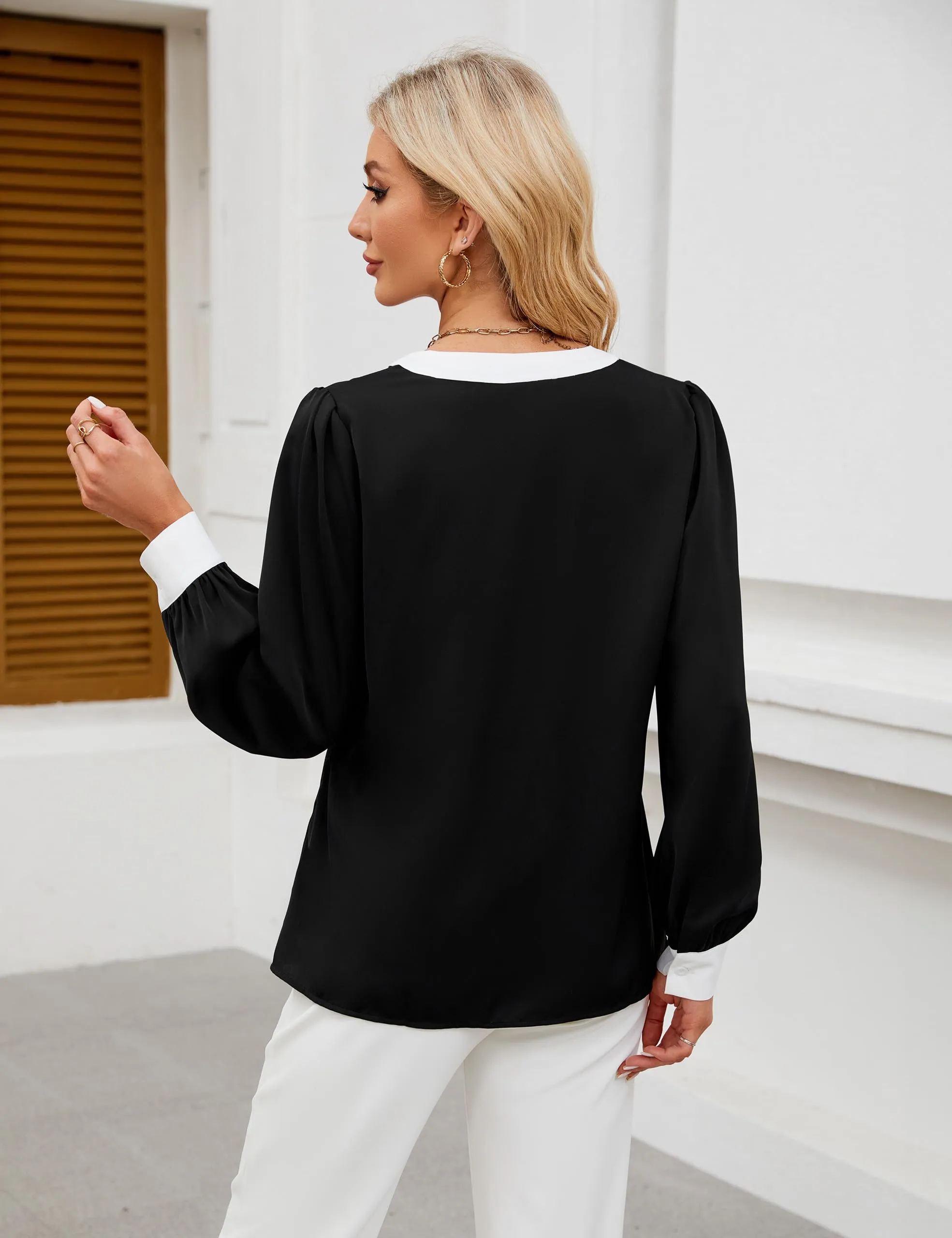 BMJL Womens Work Blouse Dressy Business Casual Tops Long Lantern Sleeve V Neck Office Fall Shirt