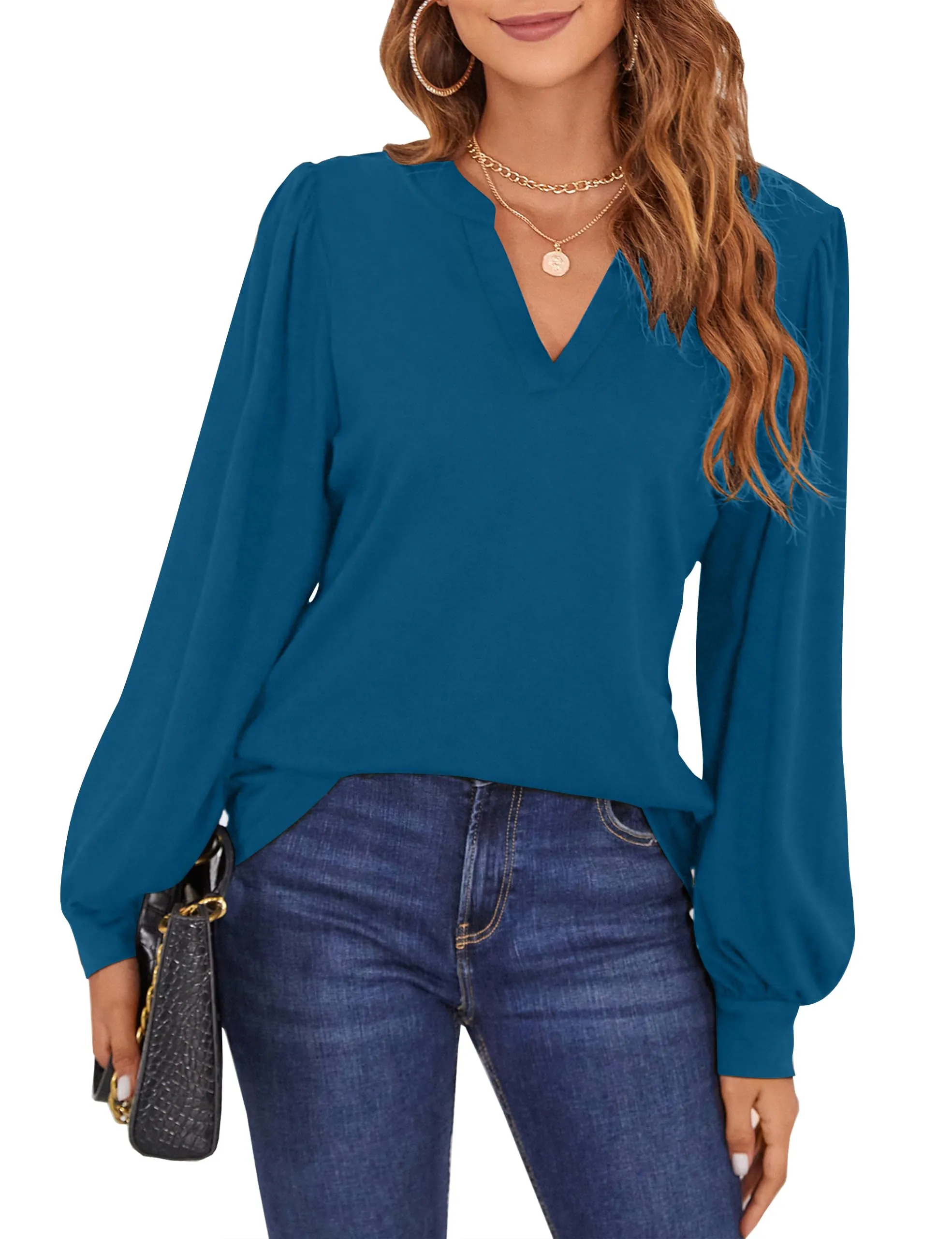 BMJL Womens Work Blouse Dressy Business Casual Tops Long Lantern Sleeve V Neck Office Fall Shirt