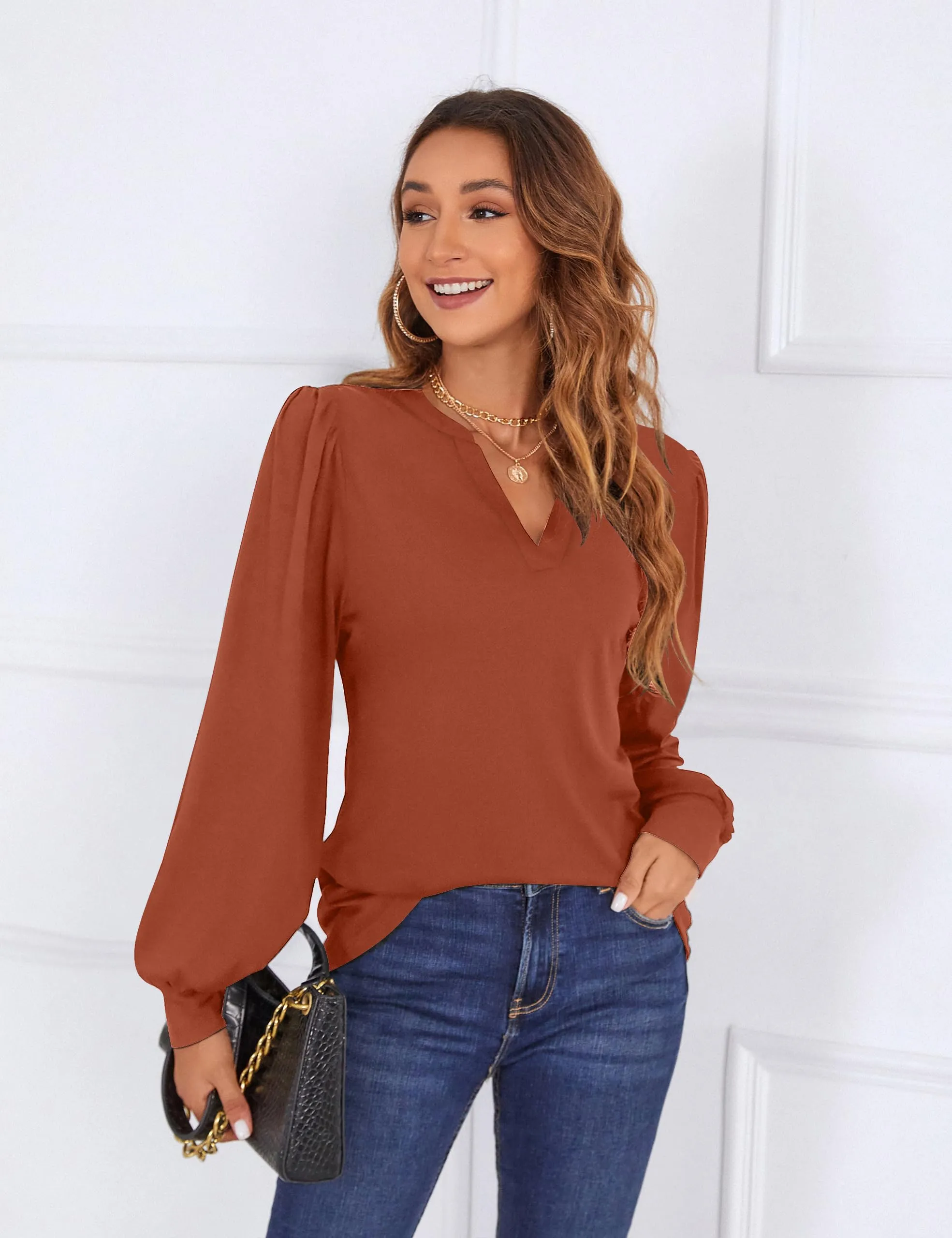 BMJL Womens Work Blouse Dressy Business Casual Tops Long Lantern Sleeve V Neck Office Fall Shirt