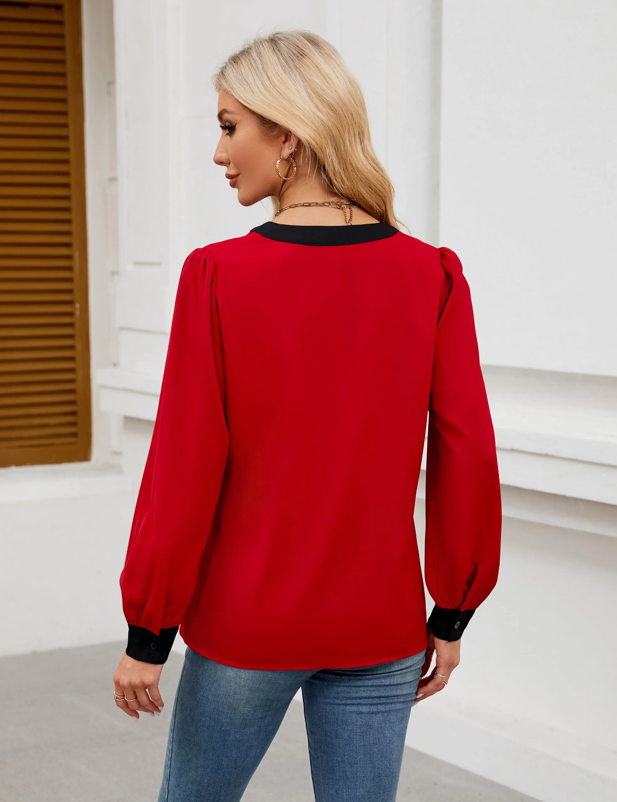 BMJL Womens Work Blouse Dressy Business Casual Tops Long Lantern Sleeve V Neck Office Fall Shirt