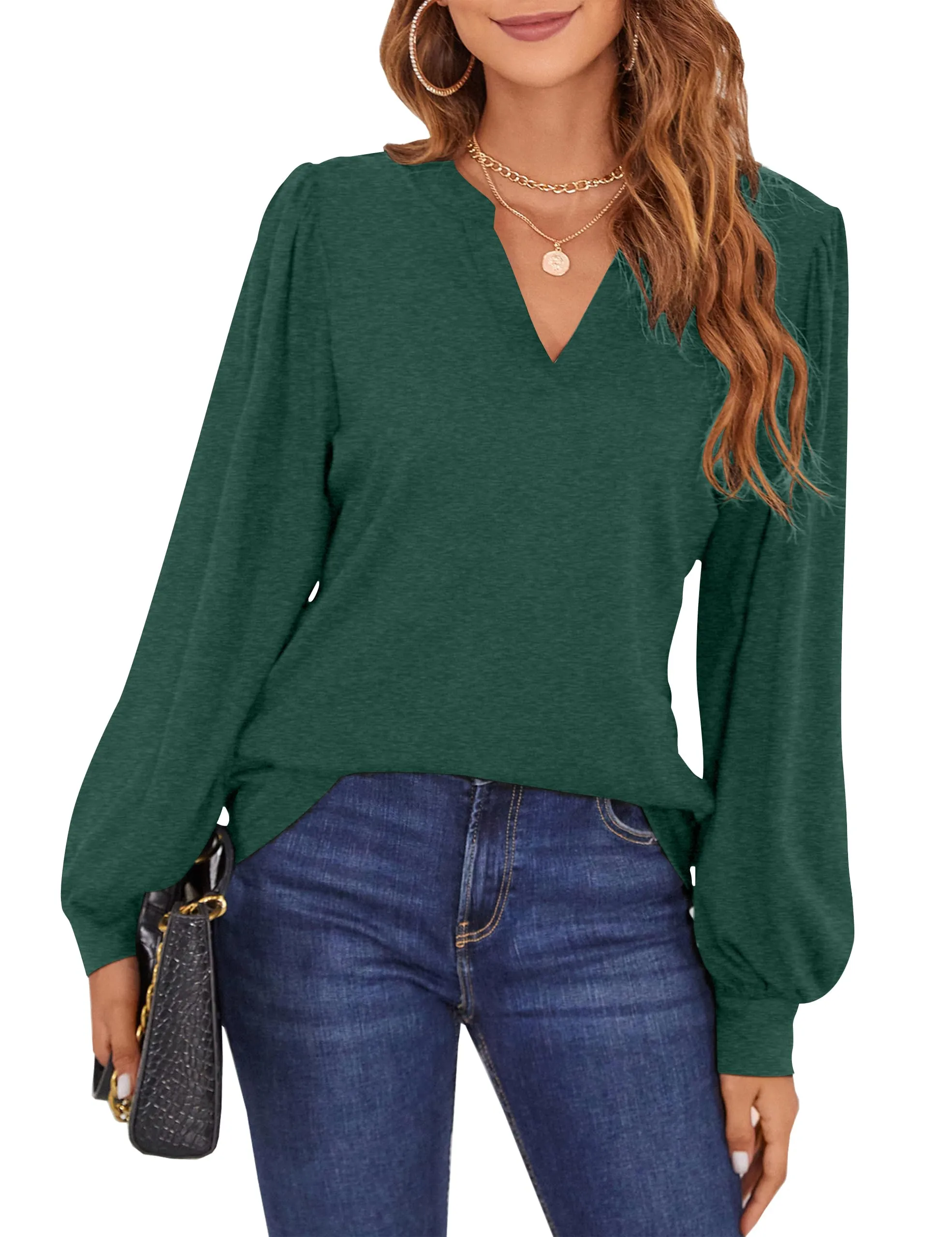 BMJL Womens Work Blouse Dressy Business Casual Tops Long Lantern Sleeve V Neck Office Fall Shirt