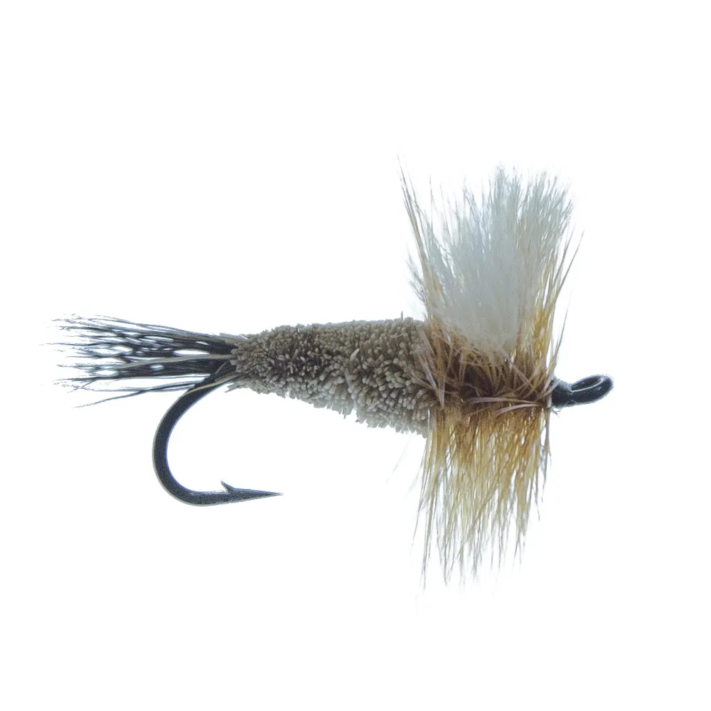 Steelhead Irresistible